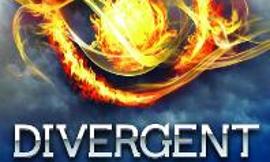 Divergent Book Critique...