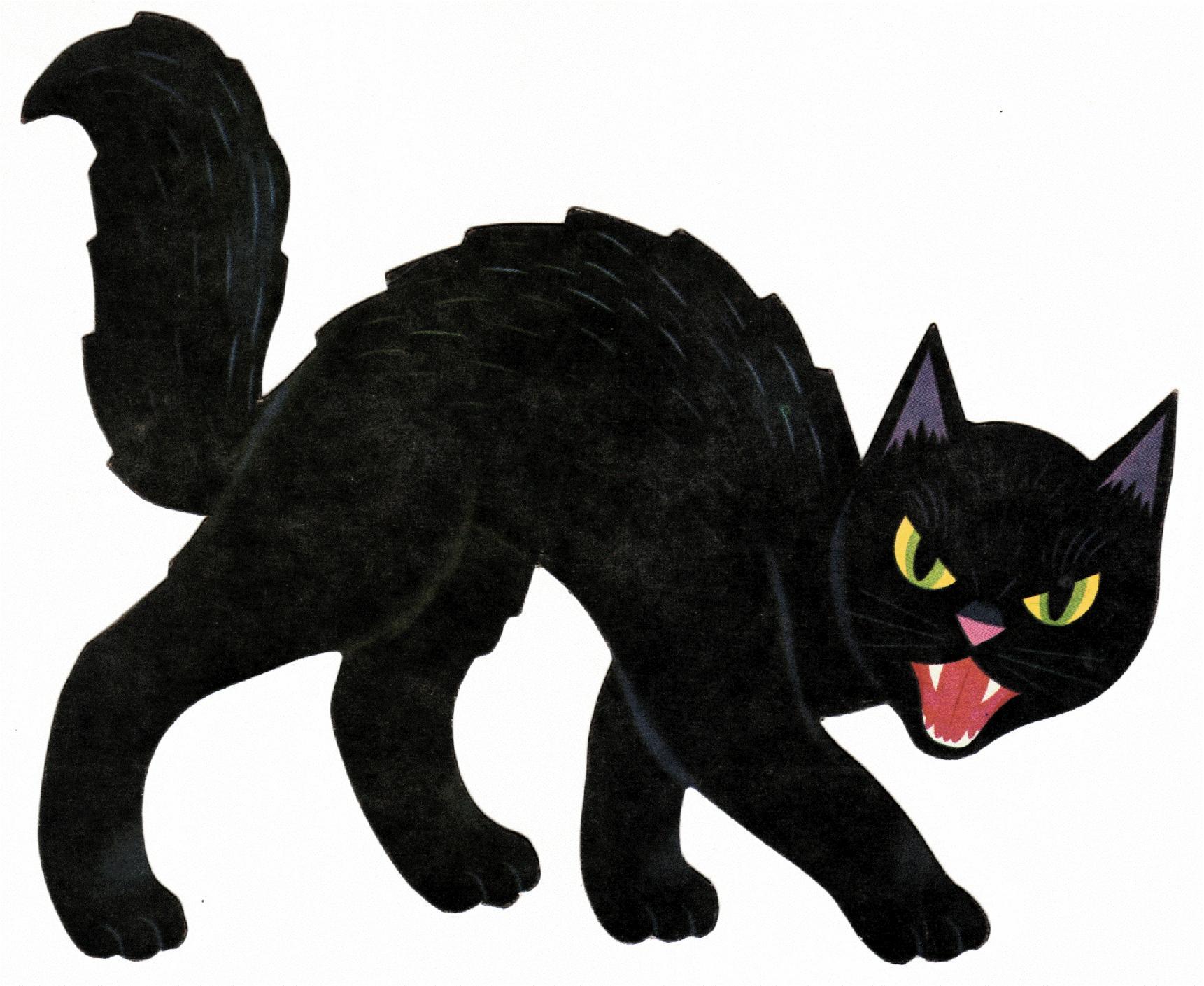 Черный кот для детей
