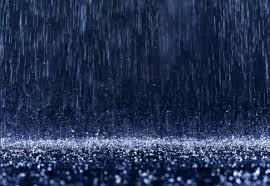 singing in the rain singing in the rain