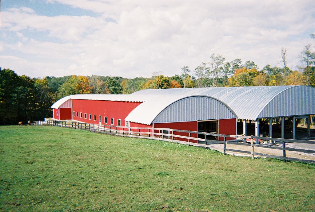 Metal Roofing