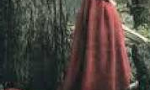 The Little Girl in the Red Cape