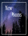 New Moons (Mia X Hunter)