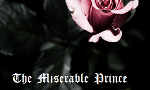 New Story Idea "The Miserable Prince" - need an honest opinion