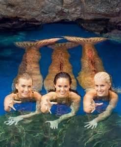 Mako Mermaids + Me Mako Mermaids + Me