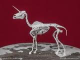 Skeleton Unicorn