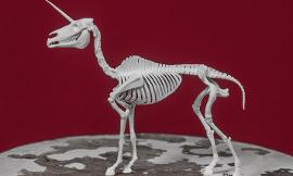 Skeleton Unicorn
