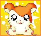 Hamtaro little hamster big adventures