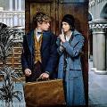 Tina and Newt fan fiction (Fantastic Beasts and Where to Find Them)