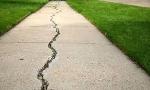 Cracks in the sidewalk