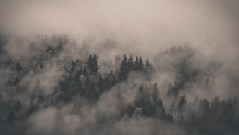 The Fog The Fog