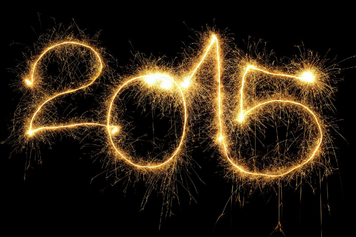 2015: The Geek Recalls 2015: The Geek Recalls