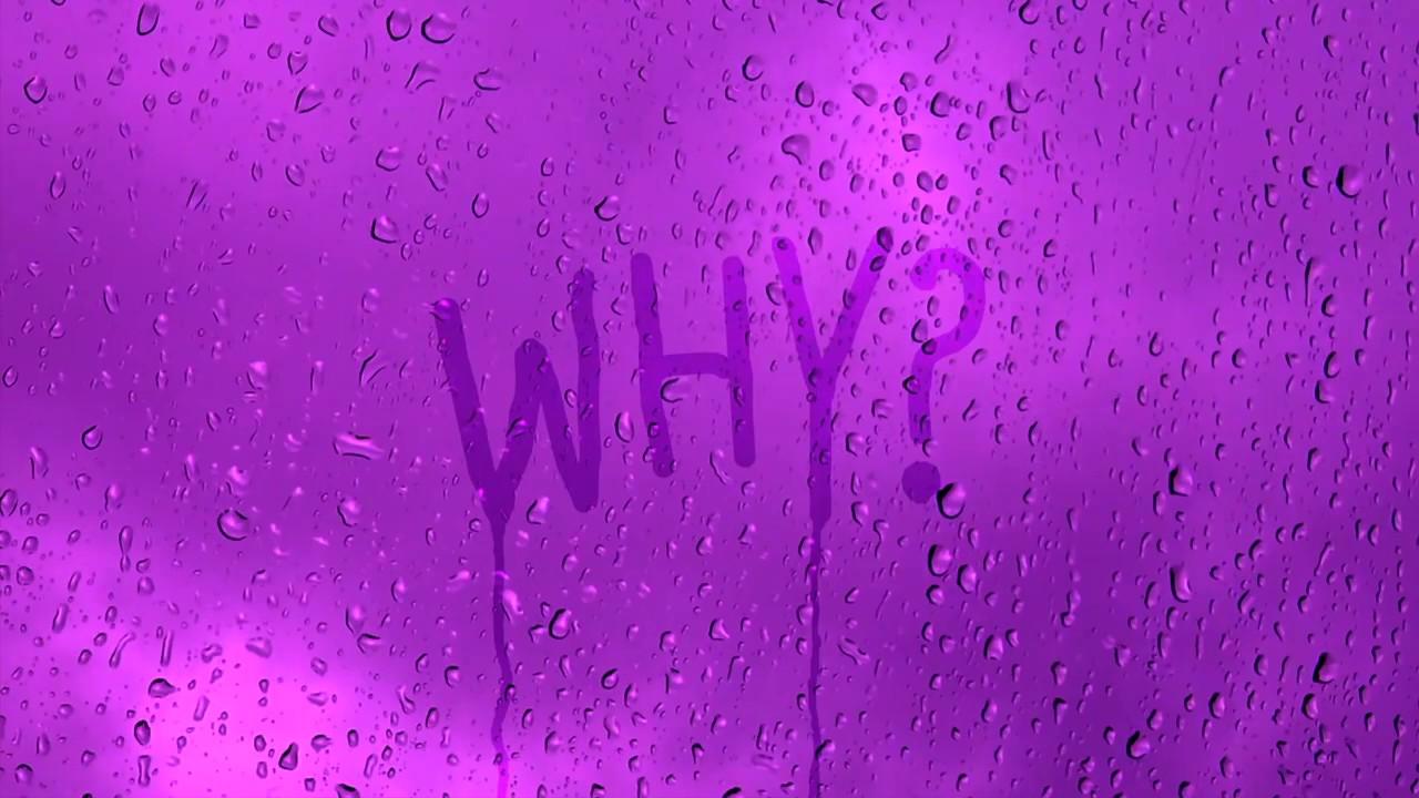Why? Why?