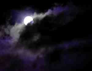 Halloween Night Halloween Night