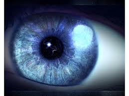 His Eyes are Open, but Where is the Light? His Eyes are Open, but Where is the Light?