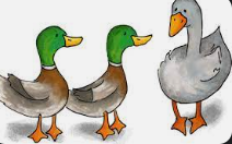 duck duck goose