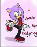 Meet Camille the Hedgehog