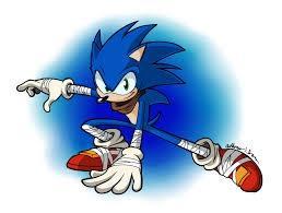 Sonic the hedgehog himself