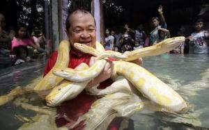 Ophidiophobia: The fear of snakes