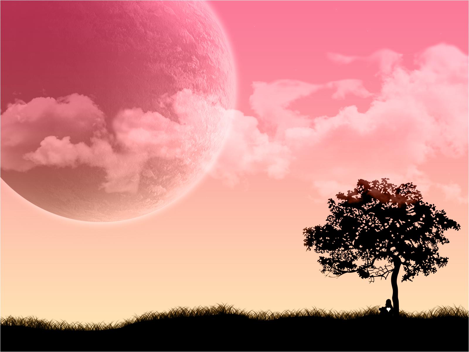 Dream Dream