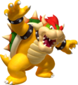 Bowser Bowser