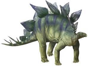 The stegosaurus lived 84 million year before the T. Rex