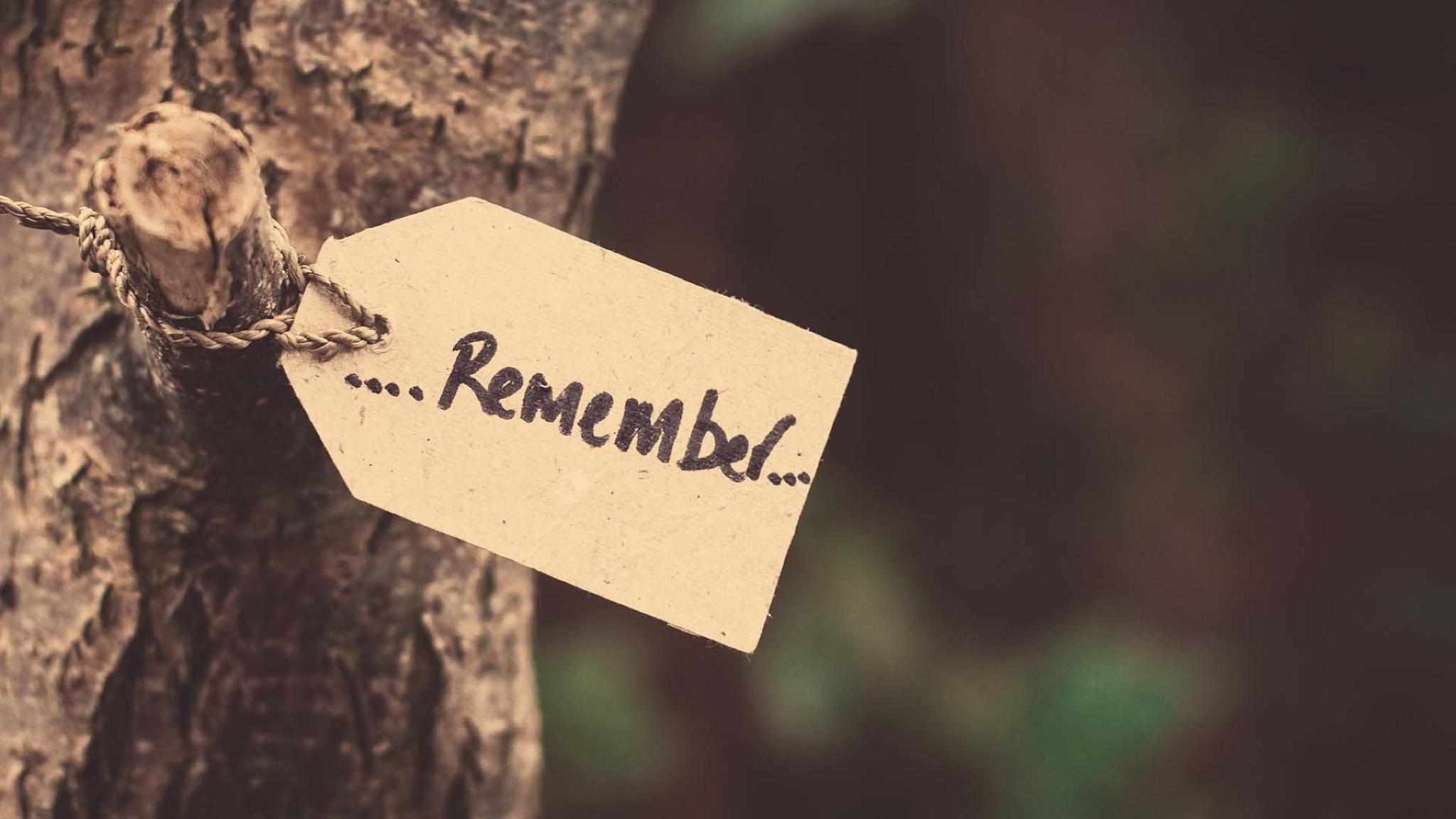 Chapter 1: The Memory Chapter 1: The Memory