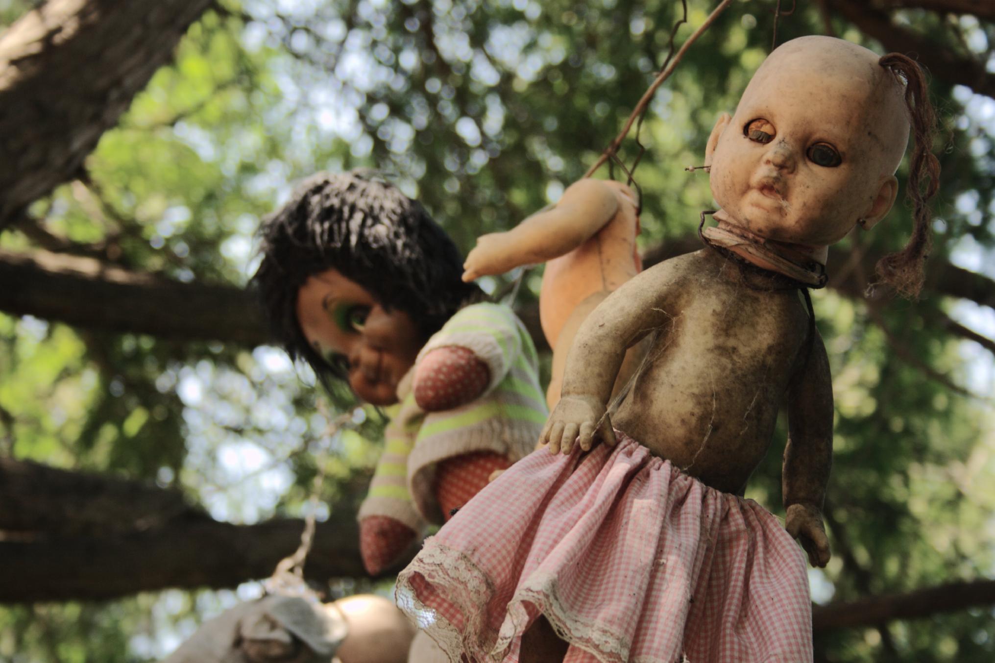 Dolls Dolls