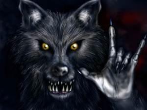 What is a werewolf?