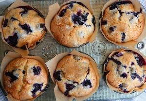 Blueberrylicous blueberry muffins (@BlueTheQuizWhiz97)