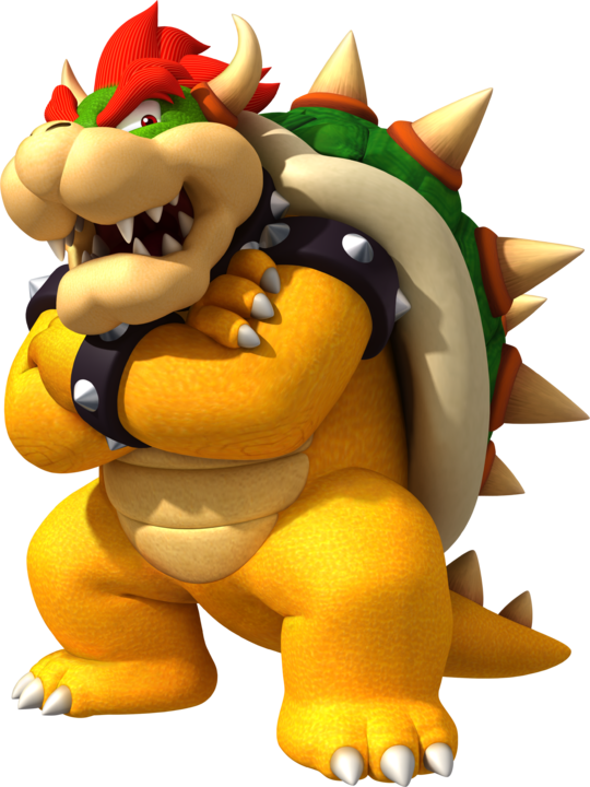 Bowser Bowser