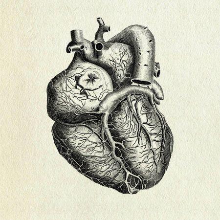 The Sad And Rotting Heart