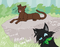 Connections With StarClan