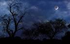 Dreadful nights Dreadful nights