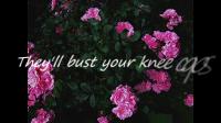 Pomplamoose - Bust Your Kneecaps | Lyrics