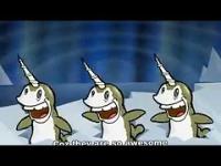 Funny narwhal song