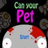 Play Can Your Pet Game