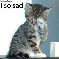 Which cat is saddest?