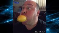 Will Sasso Vine Compilation (ALL VINES) # HD QUALITY ✔✔✔