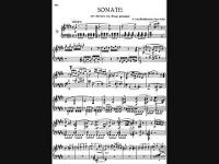 Beethoven Sonata No. 9 In E Major, Op. 14 No. 1 1st Movement
