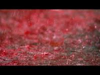 Blood rain (1)