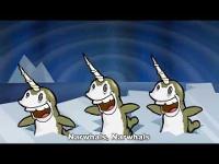 Narwhals song swimming in the ocean !
