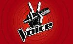 Does anyone watch the Voice?