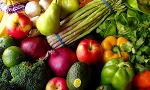 Is it true that the vegetarian diet can affect the development of the brain?