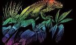 What does it mean when you see a rainbow iguana in your dreams?