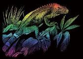 What does it mean when you see a rainbow iguana in your dreams?