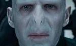 hey I know most of you like harry but what about voldemort?