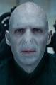 hey I know most of you like harry but what about voldemort?