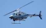 Can bird strike cause helicopter crash?
