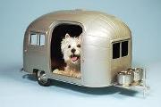 How cool is this kennel?