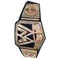 Has Anyone here Ever wanted to be WWE Champion?
